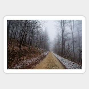 Foggy road in the forest Sticker